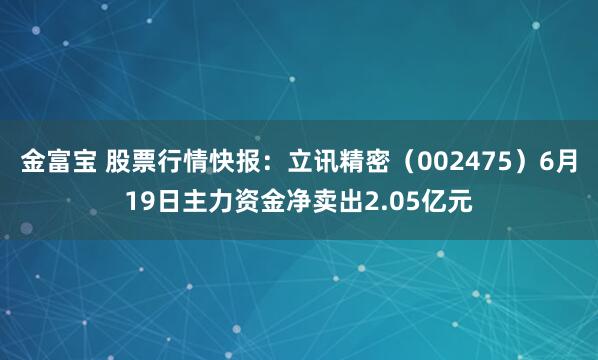 金富宝 股票行情快报：立讯精密（002475）6月19日主力资金净卖出2.05亿元