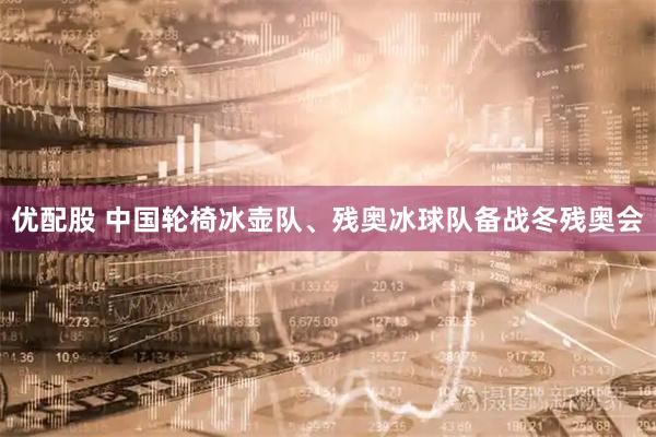 优配股 中国轮椅冰壶队、残奥冰球队备战冬残奥会