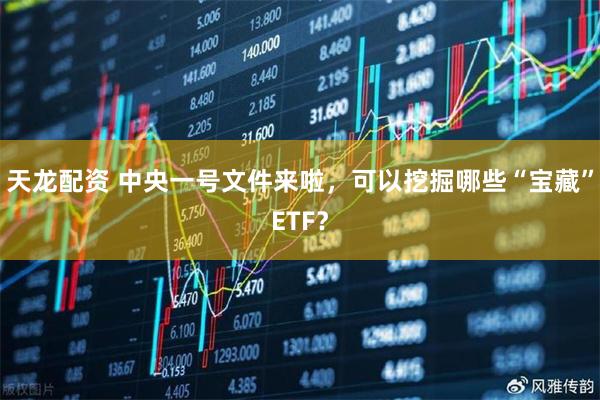 天龙配资 中央一号文件来啦，可以挖掘哪些“宝藏”ETF？